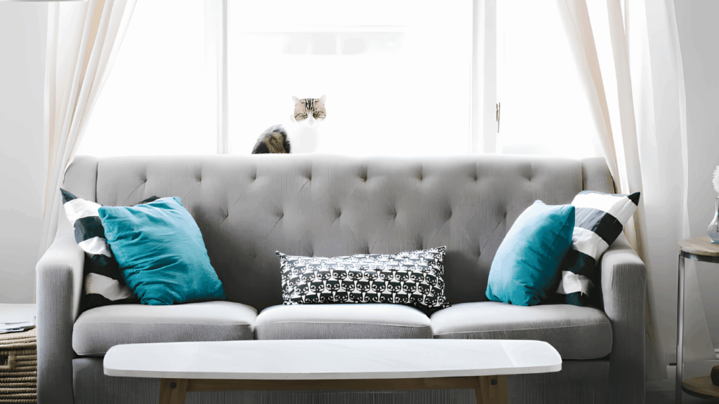 Benefits of staging a home for sale in the Black Hills using HOG Furniture to improve property appeal and market value