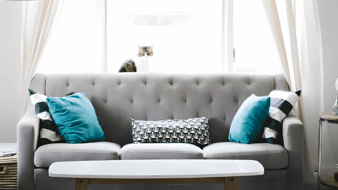 Benefits of staging a home for sale in the Black Hills using HOG Furniture to improve property appeal and market value