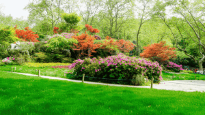 Beginner-friendly backyard landscaping guide showing simple garden design ideas for easy home gardening