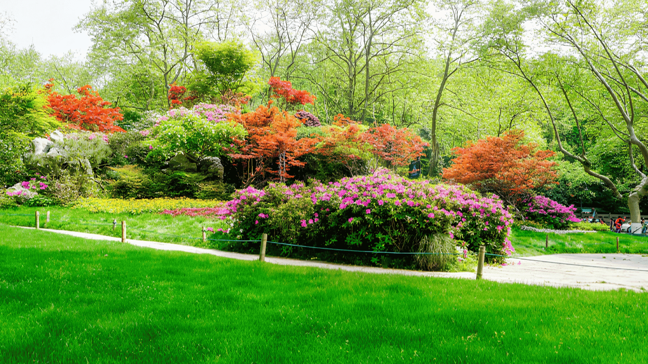 Beginner-friendly backyard landscaping guide showing simple garden design ideas for easy home gardening