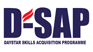DSAP experience journey showing personal development, lessons learned, and transformation during skills acquisition program