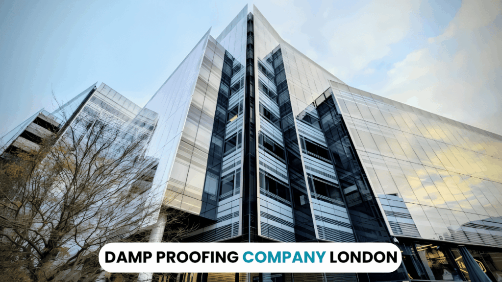 A professional damp proofing specialist inspecting a residential wall for moisture damage in a London home, highlighting the importance of choosing the right damp proofing company for long-term property protection.