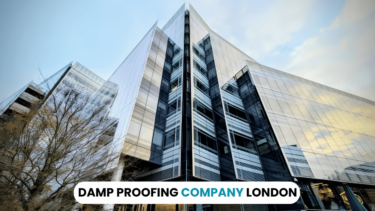 A professional damp proofing specialist inspecting a residential wall for moisture damage in a London home, highlighting the importance of choosing the right damp proofing company for long-term property protection.