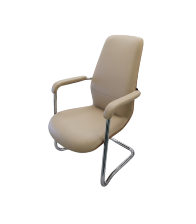 Executive Visitor Chair @HOG - Home, Office, Garden, Online Marketplace